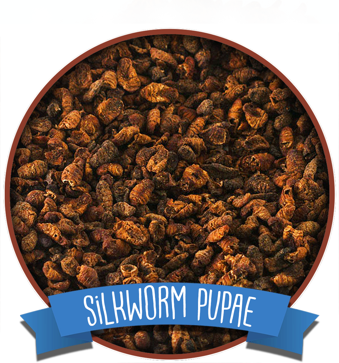 thumbnail image 2 of Chubby Dried Silkworm Pupae – 11lb High Protein Treat For Koi Carp, Pond Fish, Turtles 2 of 3