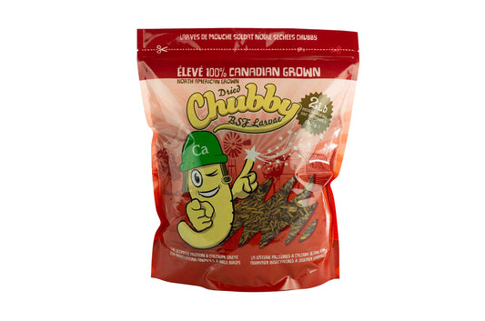 2LB Chubby Dried Black Soldier Fly Larvae - Grown in North America (Montreal) Non-GMO